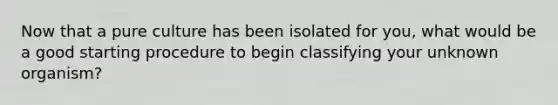 Now that a pure culture has been isolated for you, what would be a good starting procedure to begin classifying your unknown organism?