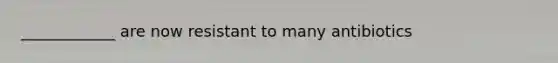 ____________ are now resistant to many antibiotics