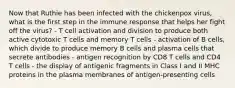 Now that Ruthie has been infected with the chickenpox virus, what is the first step in the immune response that helps her fight off the virus? - T cell activation and division to produce both active cytotoxic T cells and memory T cells - activation of B cells, which divide to produce memory B cells and plasma cells that secrete antibodies - antigen recognition by CD8 T cells and CD4 T cells - the display of antigenic fragments in Class I and II MHC proteins in the plasma membranes of antigen-presenting cells