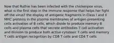 Now that Ruthie has been infected with the chickenpox virus, what is the first step in the immune response that helps her fight off the virus? the display of antigenic fragments in Class I and II MHC proteins in the plasma membranes of antigen-presenting cells activation of B cells, which divide to produce memory B cells and plasma cells that secrete antibodies T cell activation and division to produce both active cytotoxic T cells and memory T cells antigen recognition by CD8 T cells and CD4 T cells