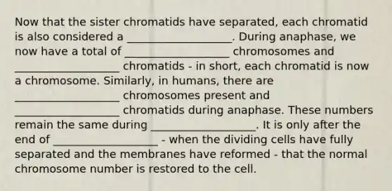 Now that the sister chromatids have separated, each chromatid is also considered a ___________________. During anaphase, we now have a total of ___________________ chromosomes and ___________________ chromatids - in short, each chromatid is now a chromosome. Similarly, in humans, there are ___________________ chromosomes present and ___________________ chromatids during anaphase. These numbers remain the same during ___________________. It is only after the end of ___________________ - when the dividing cells have fully separated and the membranes have reformed - that the normal chromosome number is restored to the cell.