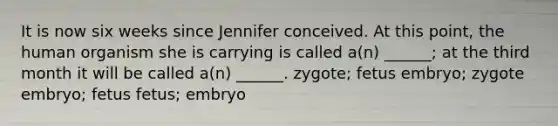 It is now six weeks since Jennifer conceived. At this point, the human organism she is carrying is called a(n) ______; at the third month it will be called a(n) ______. zygote; fetus embryo; zygote embryo; fetus fetus; embryo