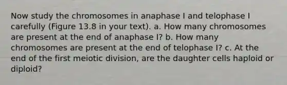 Now study the chromosomes in anaphase I and telophase I carefully (Figure 13.8 in your text). a. How many chromosomes are present at the end of anaphase I? b. How many chromosomes are present at the end of telophase I? c. At the end of the first meiotic division, are the daughter cells haploid or diploid?