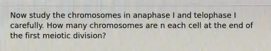 Now study the chromosomes in anaphase I and telophase I carefully. How many chromosomes are n each cell at the end of the first meiotic division?