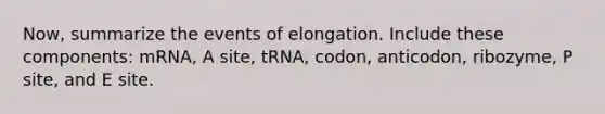 Now, summarize the events of elongation. Include these components: mRNA, A site, tRNA, codon, anticodon, ribozyme, P site, and E site.