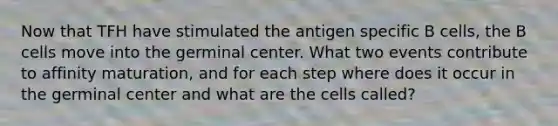 Now that TFH have stimulated the antigen specific B cells, the B cells move into the germinal center. What two events contribute to affinity maturation, and for each step where does it occur in the germinal center and what are the cells called?