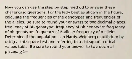 Now you can use the step‑by‑step method to answer these challenging questions. For the lady beetles shown in the figure, calculate the frequencies of the genotypes and frequencies of the alleles. Be sure to round your answers to two decimal places. frequency of BB genotype: frequency of Bb genotype: frequency of bb genotype: frequency of B allele: frequency of b allele: Determine if the population is in Hardy-Weinberg equilibrium by using a chi‑square test and referring to a chi-square critical values table. Be sure to round your answer to two decimal places. 𝜒2=