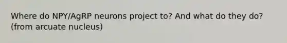 Where do NPY/AgRP neurons project to? And what do they do? (from arcuate nucleus)