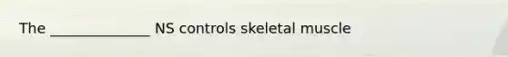 The ______________ NS controls skeletal muscle