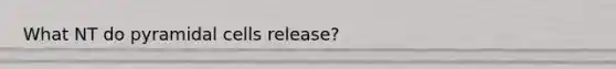 What NT do pyramidal cells release?