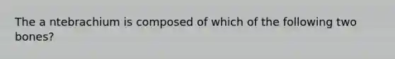 The a ntebrachium is composed of which of the following two bones?