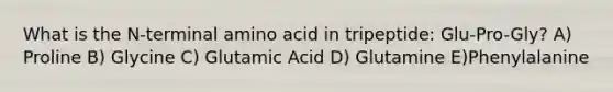 What is the N-terminal amino acid in tripeptide: Glu-Pro-Gly? A) Proline B) Glycine C) Glutamic Acid D) Glutamine E)Phenylalanine