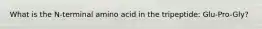 What is the N-terminal amino acid in the tripeptide: Glu-Pro-Gly?