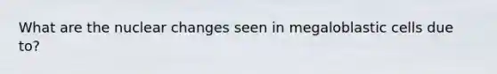 What are the nuclear changes seen in megaloblastic cells due to?