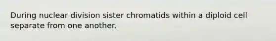 During nuclear division sister chromatids within a diploid cell separate from one another.