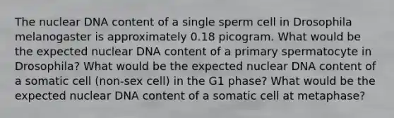 The nuclear DNA content of a single sperm cell in Drosophila melanogaster is approximately 0.18 picogram. What would be the expected nuclear DNA content of a primary spermatocyte in Drosophila? What would be the expected nuclear DNA content of a somatic cell (non-sex cell) in the G1 phase? What would be the expected nuclear DNA content of a somatic cell at metaphase?