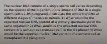 The nuclear DNA content of a single sperm cell varies depending on the species of the organism. If the amount of DNA in a single sperm cell is 1.95 picogram(s), calculate the amount of DNA at different stages of meiosis or mitosis. 1) What would be the expected nuclear DNA content of a primary spermatocyte in the same organism? 2) What would be the expected nuclear DNA content of a somatic cell (non-sex cell) in the G1 phase? 3) What would be the expected nuclear DNA content of a somatic cell at metaphase? 6.2 picograms