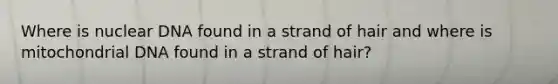 Where is nuclear DNA found in a strand of hair and where is mitochondrial DNA found in a strand of hair?