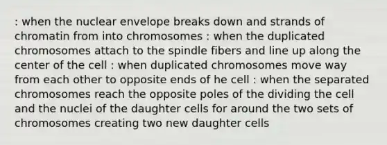 : when the nuclear envelope breaks down and strands of chromatin from into chromosomes : when the duplicated chromosomes attach to the spindle fibers and line up along the center of the cell : when duplicated chromosomes move way from each other to opposite ends of he cell : when the separated chromosomes reach the opposite poles of the dividing the cell and the nuclei of the daughter cells for around the two sets of chromosomes creating two new daughter cells