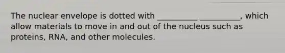 The nuclear envelope is dotted with __________ __________, which allow materials to move in and out of the nucleus such as proteins, RNA, and other molecules.