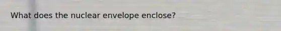 What does the nuclear envelope enclose?