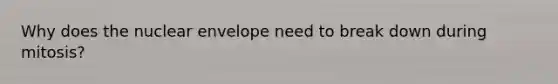 Why does the nuclear envelope need to break down during mitosis?