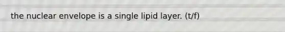 the nuclear envelope is a single lipid layer. (t/f)