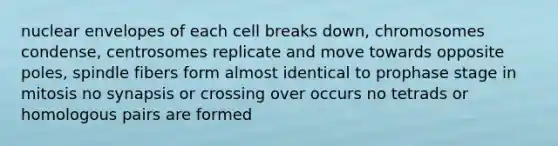 nuclear envelopes of each cell breaks down, chromosomes condense, centrosomes replicate and move towards opposite poles, spindle fibers form almost identical to prophase stage in mitosis no synapsis or crossing over occurs no tetrads or homologous pairs are formed