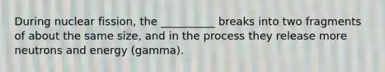 During nuclear fission, the __________ breaks into two fragments of about the same size, and in the process they release more neutrons and energy (gamma).