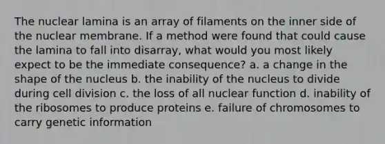 The nuclear lamina is an array of filaments on the inner side of the nuclear membrane. If a method were found that could cause the lamina to fall into disarray, what would you most likely expect to be the immediate consequence? a. a change in the shape of the nucleus b. the inability of the nucleus to divide during cell division c. the loss of all nuclear function d. inability of the ribosomes to produce proteins e. failure of chromosomes to carry genetic information