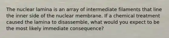 The nuclear lamina is an array of intermediate filaments that line the inner side of the nuclear membrane. If a chemical treatment caused the lamina to disassemble, what would you expect to be the most likely immediate consequence?