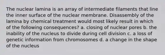 The nuclear lamina is an array of intermediate filaments that line the inner surface of the nuclear membrane. Disassembly of the lamina by chemical treatment would most likely result in which of the following consequences? a. closing of nuclear pores b. the inability of the nucleus to divide during cell division c. a loss of genetic information from chromosomes d. a change in the shape of the nucleus