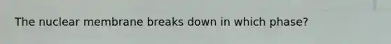 The nuclear membrane breaks down in which phase?