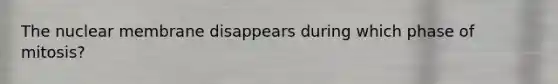 The nuclear membrane disappears during which phase of mitosis?