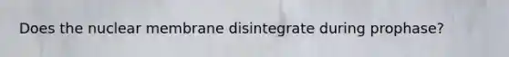 Does the nuclear membrane disintegrate during prophase?