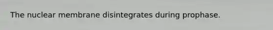 The nuclear membrane disintegrates during prophase.