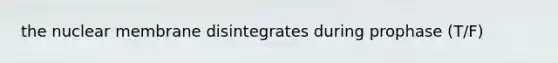 the nuclear membrane disintegrates during prophase (T/F)
