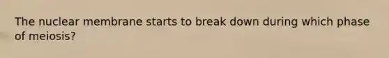 The nuclear membrane starts to break down during which phase of meiosis?