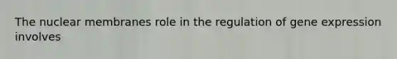 The nuclear membranes role in the regulation of <a href='https://www.questionai.com/knowledge/kFtiqWOIJT-gene-expression' class='anchor-knowledge'>gene expression</a> involves