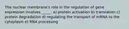 The nuclear membrane's role in the regulation of gene expression involves _____. a) protein activation b) translation c) protein degradation d) regulating the transport of mRNA to the cytoplasm e) RNA processing