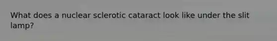 What does a nuclear sclerotic cataract look like under the slit lamp?