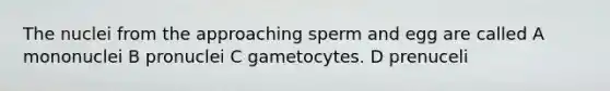 The nuclei from the approaching sperm and egg are called A mononuclei B pronuclei C gametocytes. D prenuceli