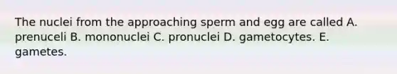 The nuclei from the approaching sperm and egg are called A. prenuceli B. mononuclei C. pronuclei D. gametocytes. E. gametes.