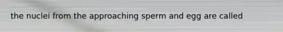 the nuclei from the approaching sperm and egg are called