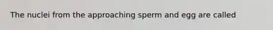 The nuclei from the approaching sperm and egg are called