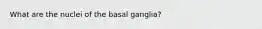 What are the nuclei of the basal ganglia?