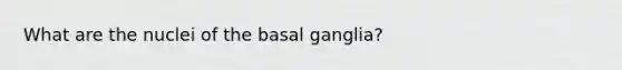 What are the nuclei of the basal ganglia?