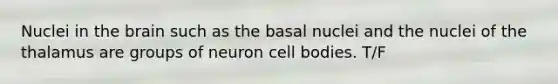 Nuclei in the brain such as the basal nuclei and the nuclei of the thalamus are groups of neuron cell bodies. T/F