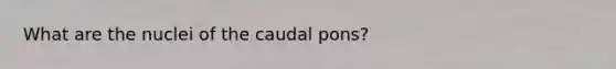 What are the nuclei of the caudal pons?