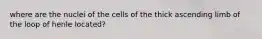 where are the nuclei of the cells of the thick ascending limb of the loop of henle located?